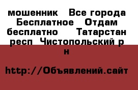 мошенник - Все города Бесплатное » Отдам бесплатно   . Татарстан респ.,Чистопольский р-н